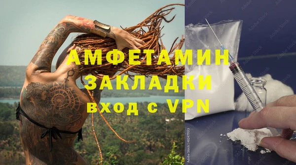 крисы Абаза