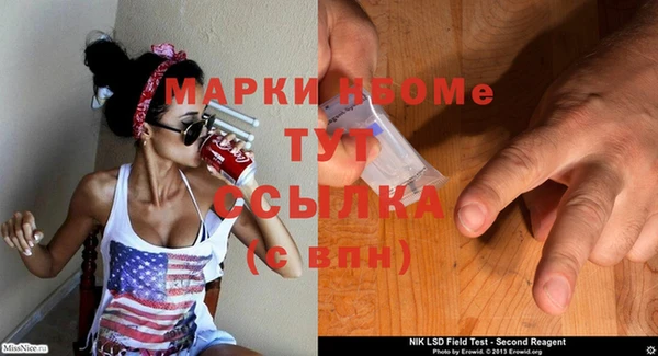 крисы Абаза